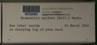Image Associated With the Occurence
